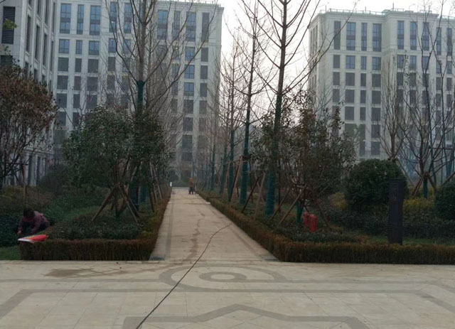济南海尔绿城.丽园开荒保洁