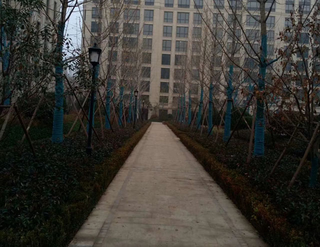 济南海尔绿城.丽园开荒保洁